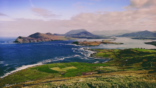 Irish Seaweed